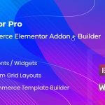 01 preview woolentor pro