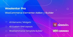 01 preview woolentor pro