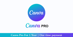Canva Pro For 1 Year | One time payment