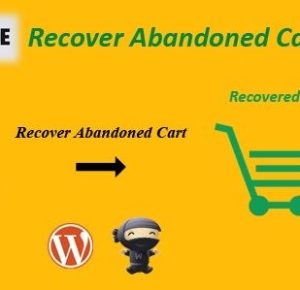 WooCommerce Recover Abandoned Cart CodeCanyon