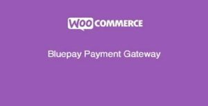 WooCommerce Bluepay Payment Gateway