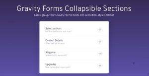 Gravity Forms Collapsible Sections Add-On