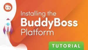 BuddyBoss - Platform Theme