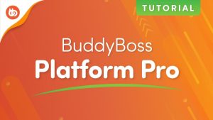 BuddyBoss - Platform Plugin