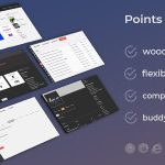 preview woocommerce points system 1