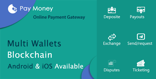 PayMoney - Secure Online Payment Gateway Nulled