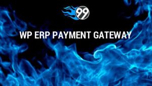 WP ERP Payment Gateway